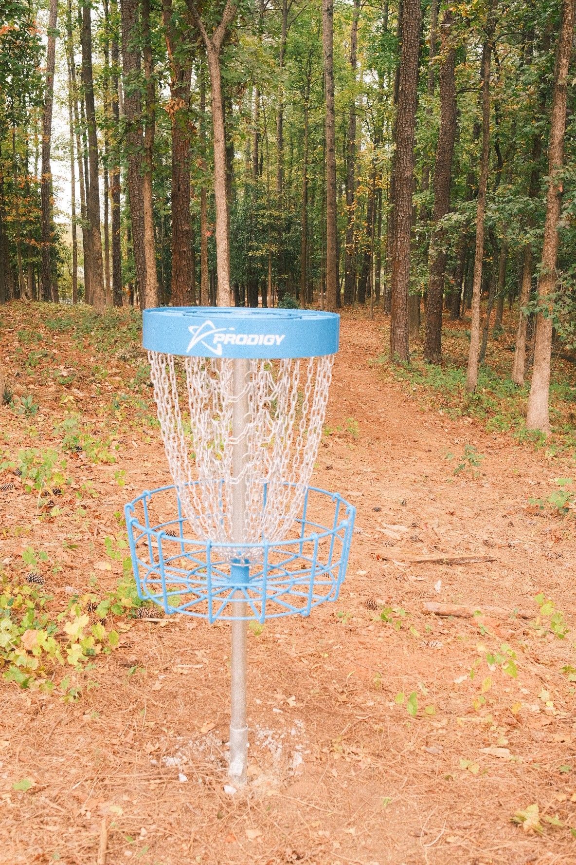 #18 basket looking at tee