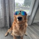 lifeofmang
