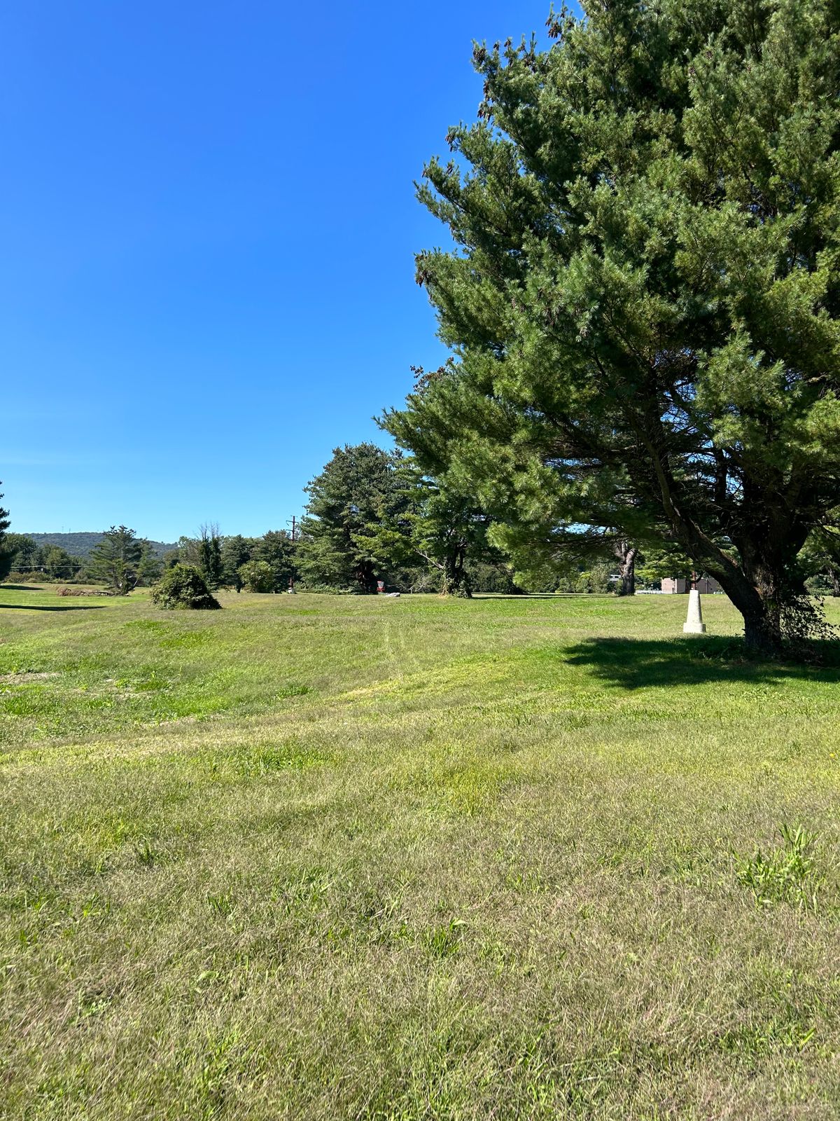 Hole 15