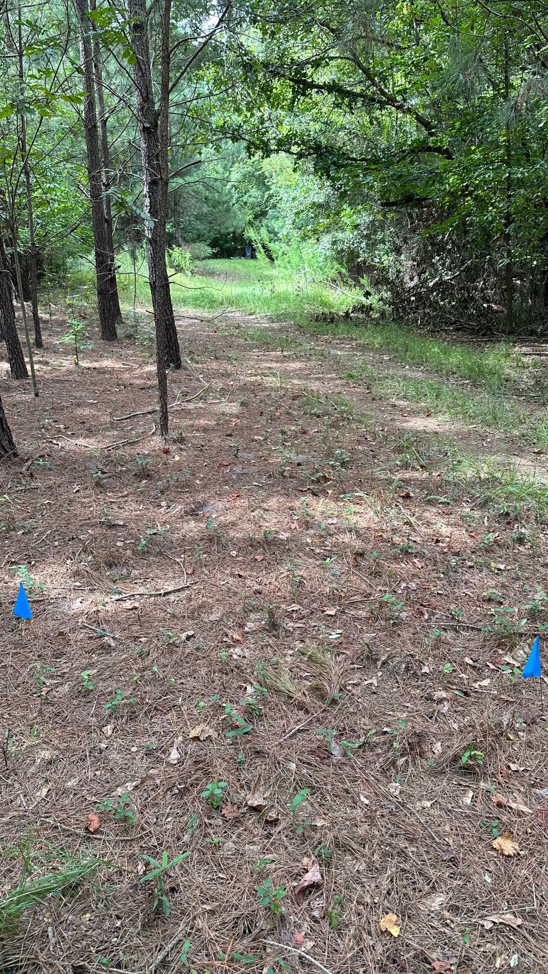 Hole 7