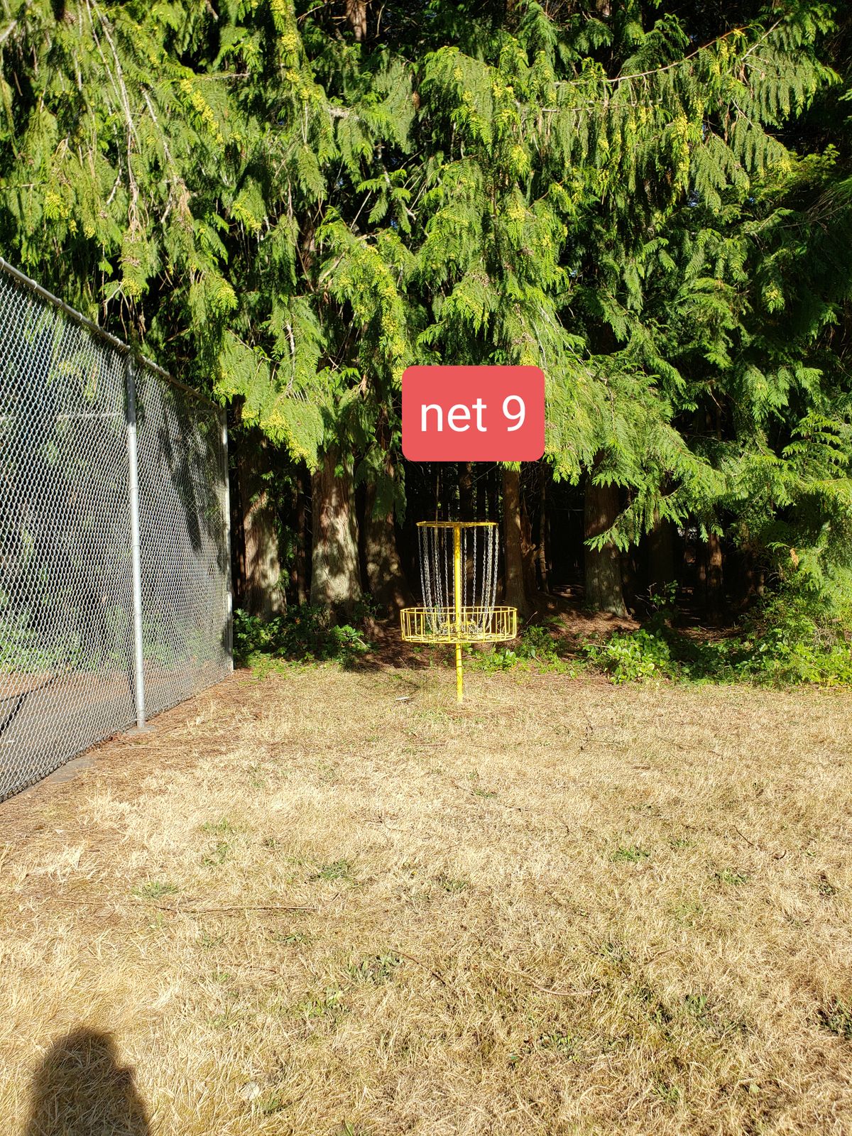 Net 9