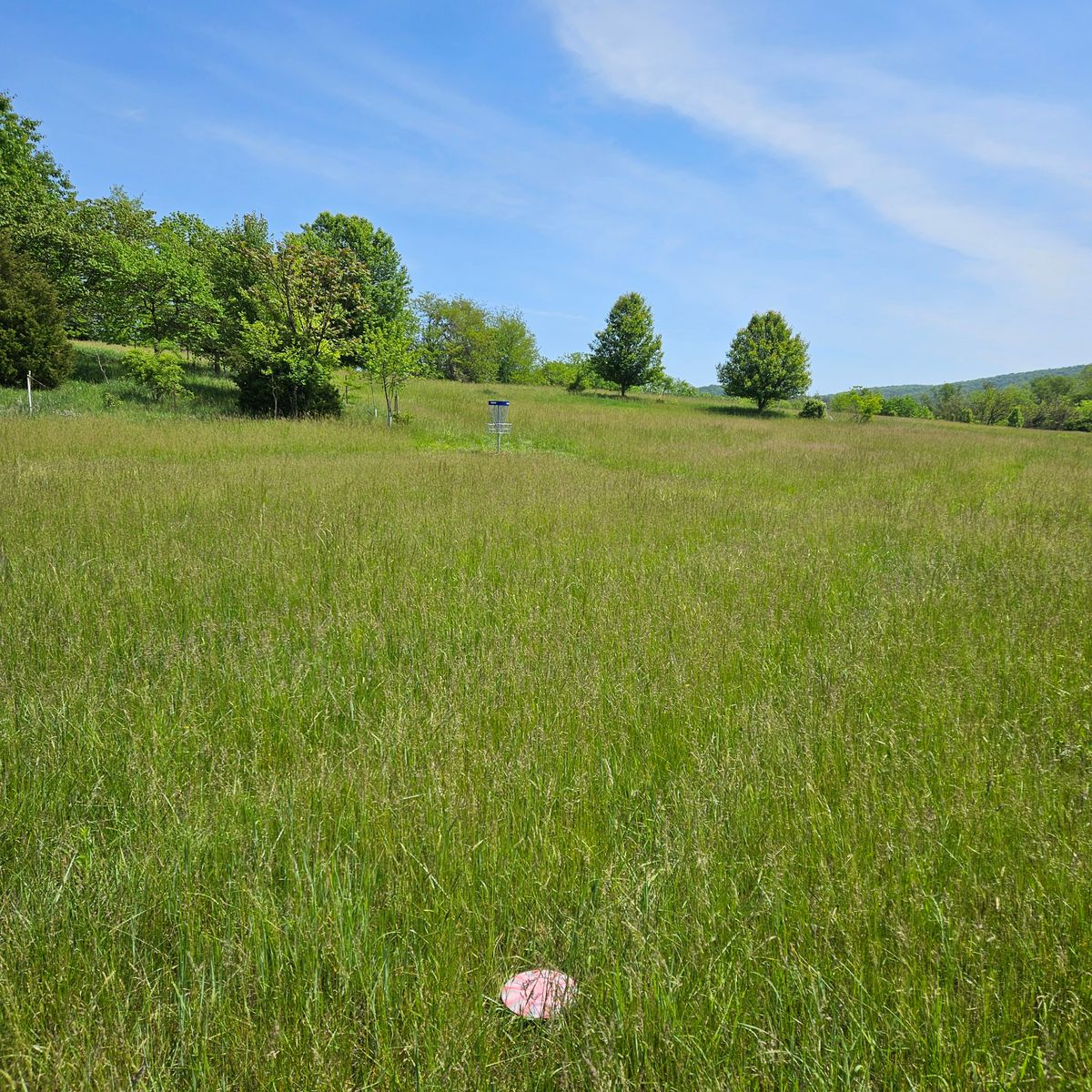 Hole 8