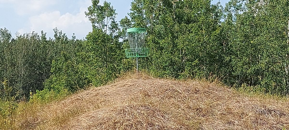Putting on hole 10.🌴🌳🌴🌳