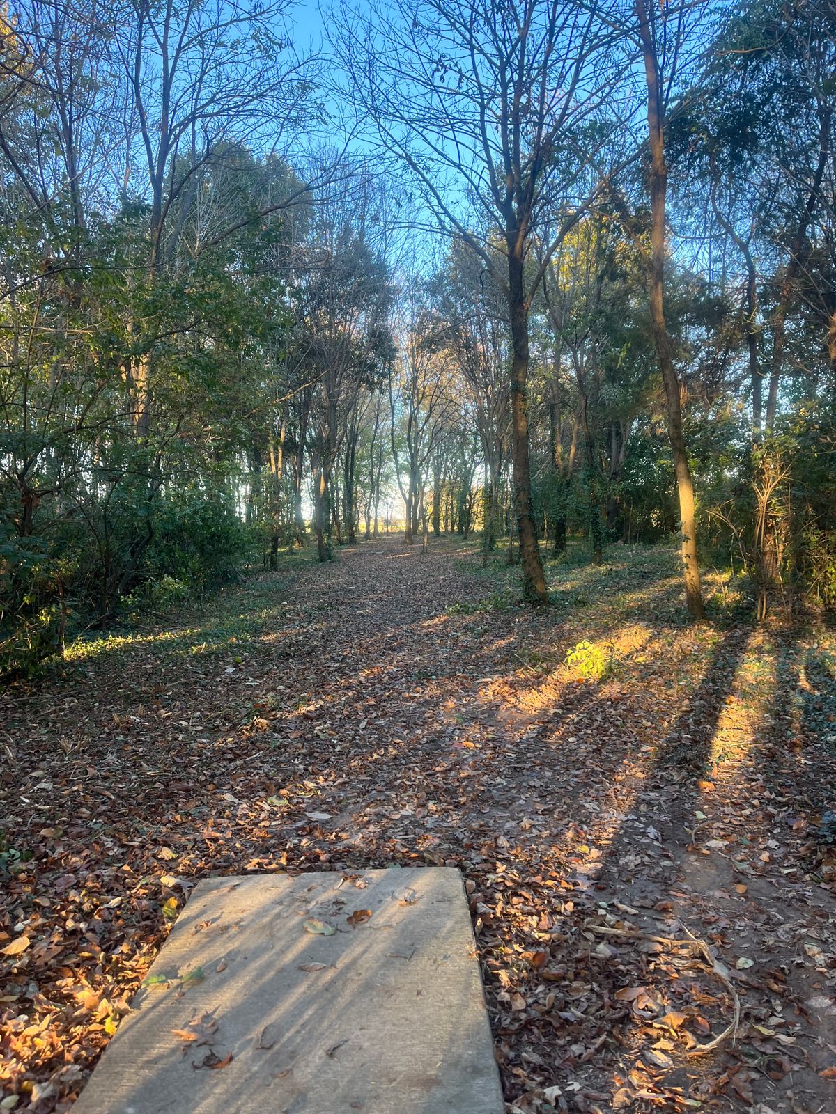 Hole 4 tee