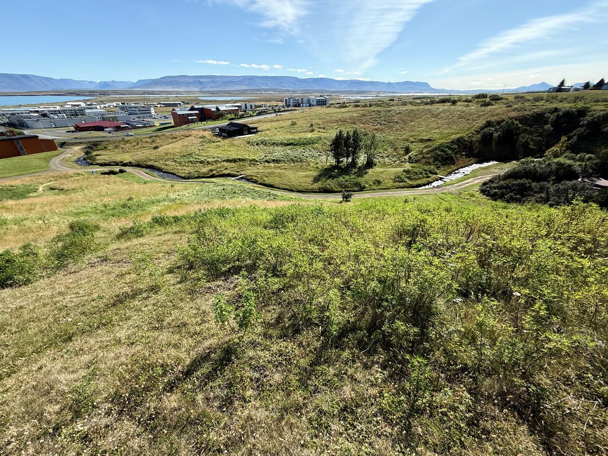 View on the creek and the bridges