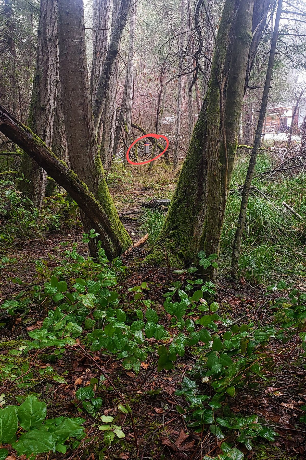 Approach on Hole 4