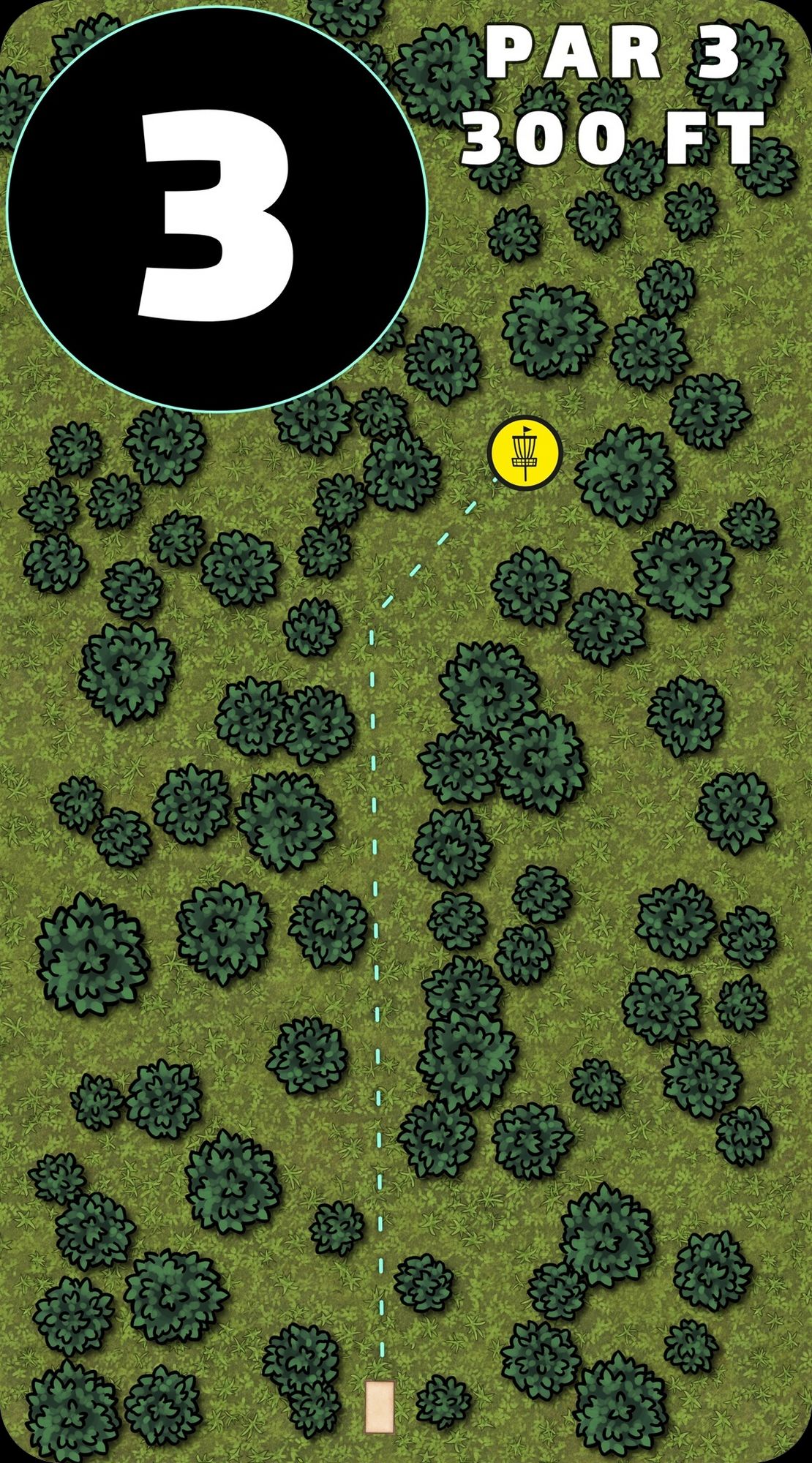 Hole 3 has a fwe approaches as well but most obvious is like on the map, but you can come down the right side.