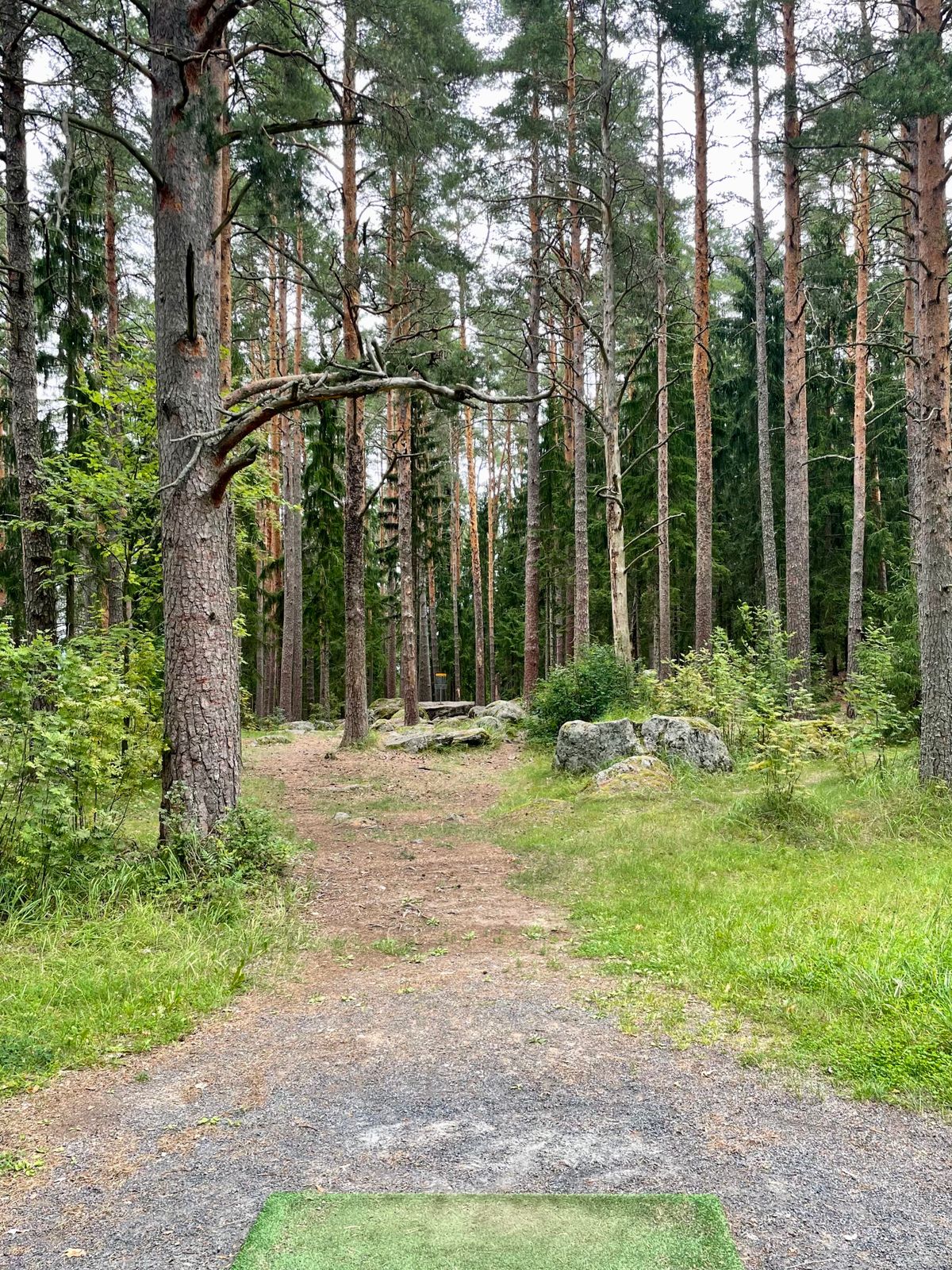 Väylä 8