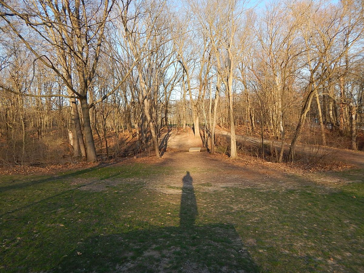 Hole 2 fairway, basket slightly uphill