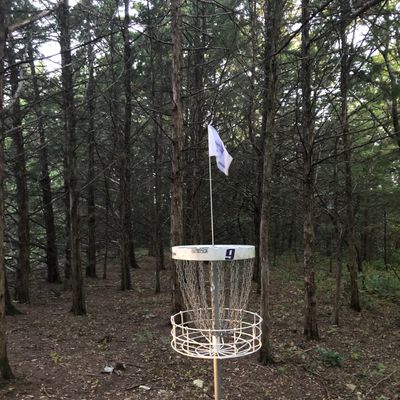 Hole 9s basket tee pad is behind me
