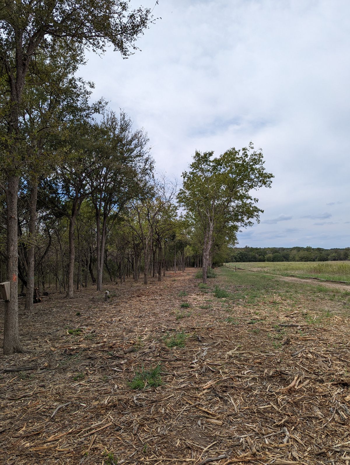 Hole 11 Landing Zone