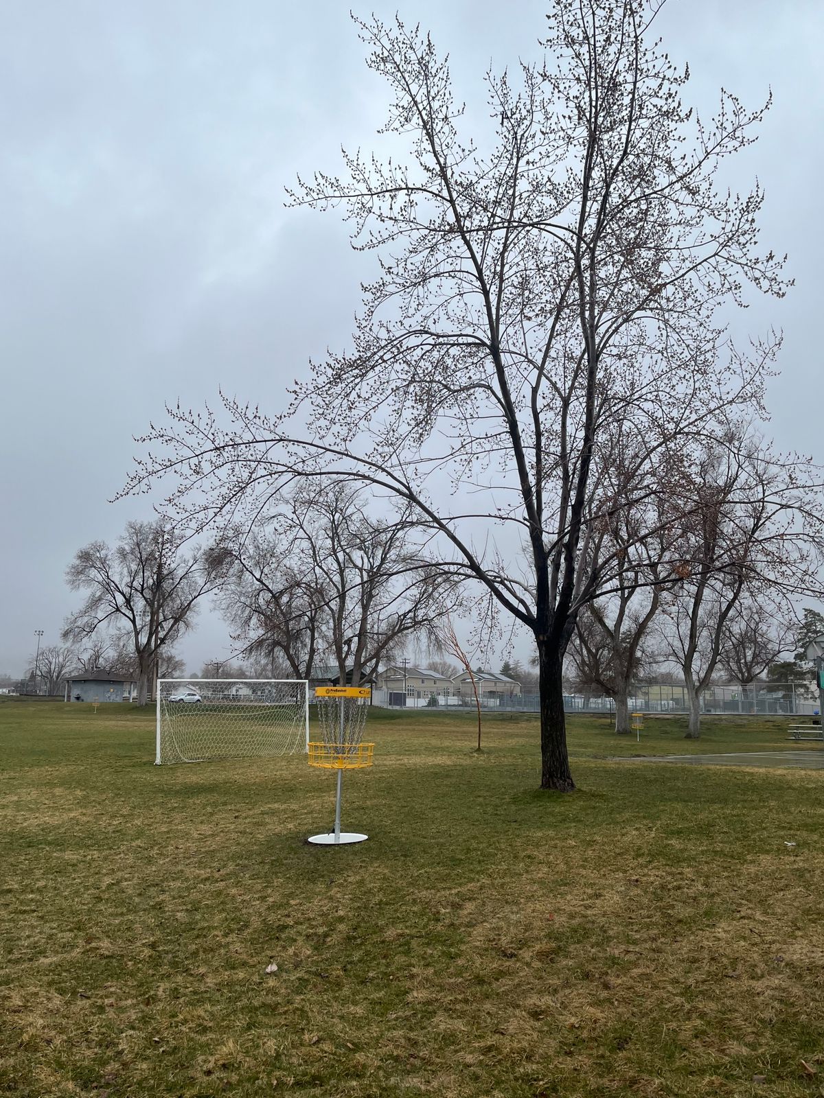 Hole 3