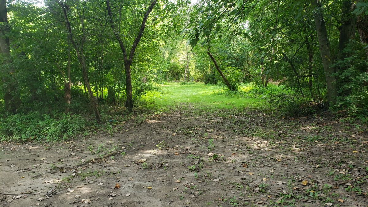 Wooded and open shots.