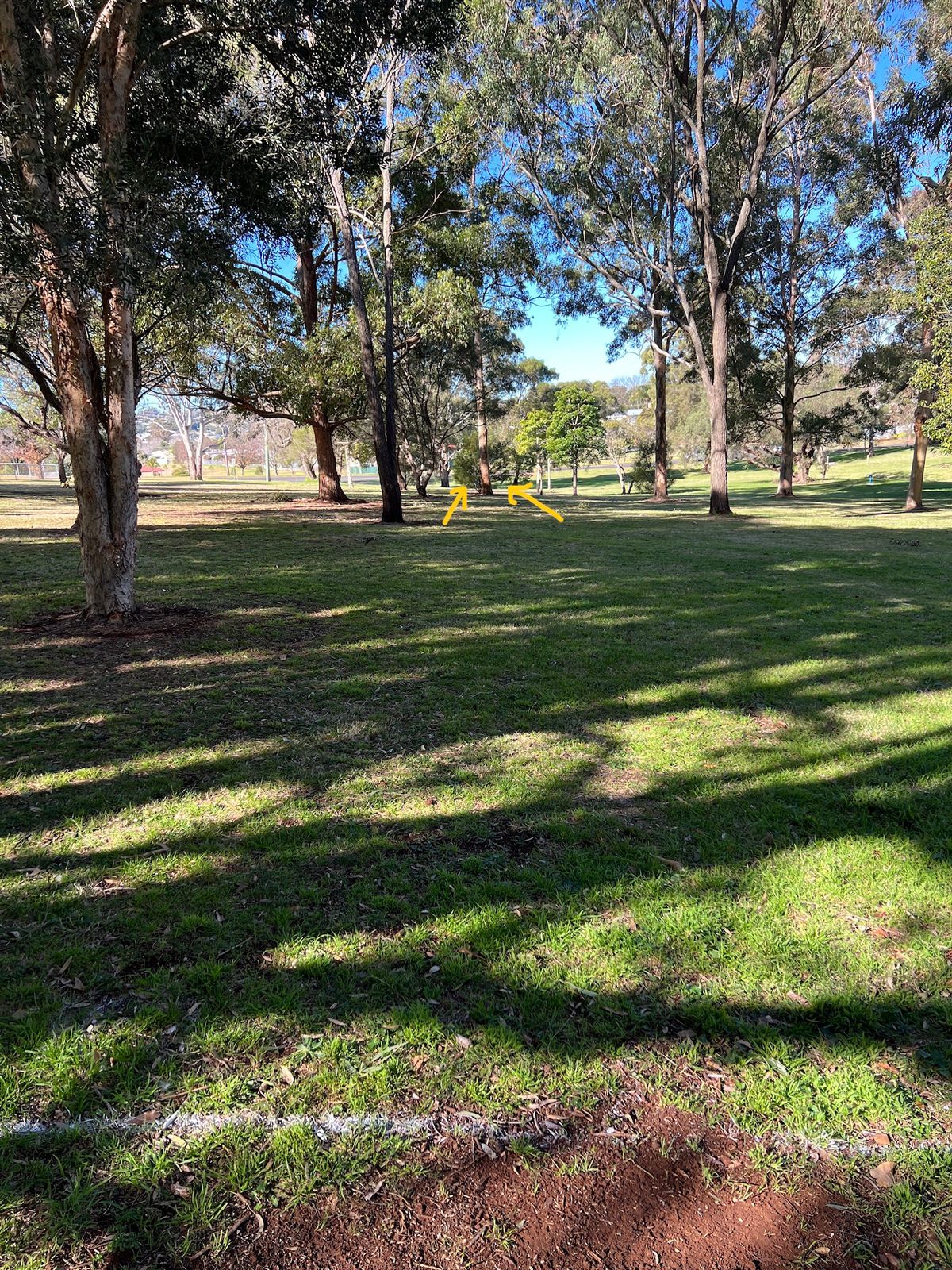 Alt 1 hole 10