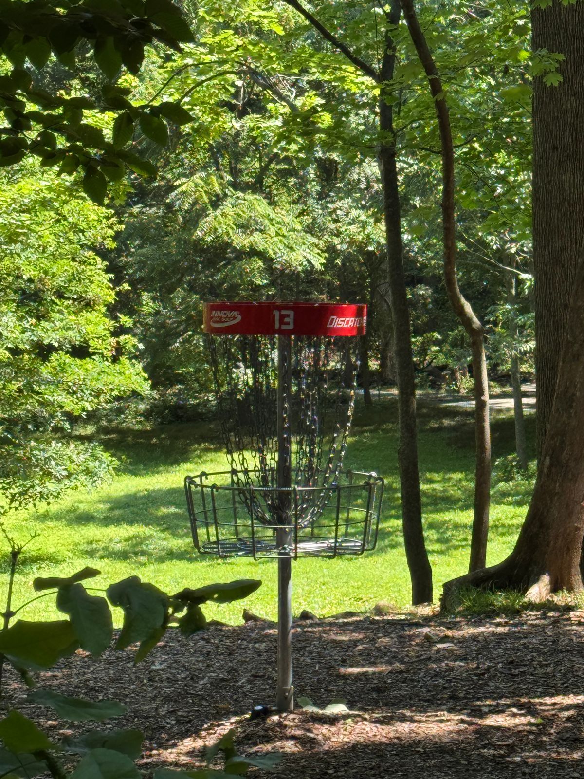 13 ⬆️