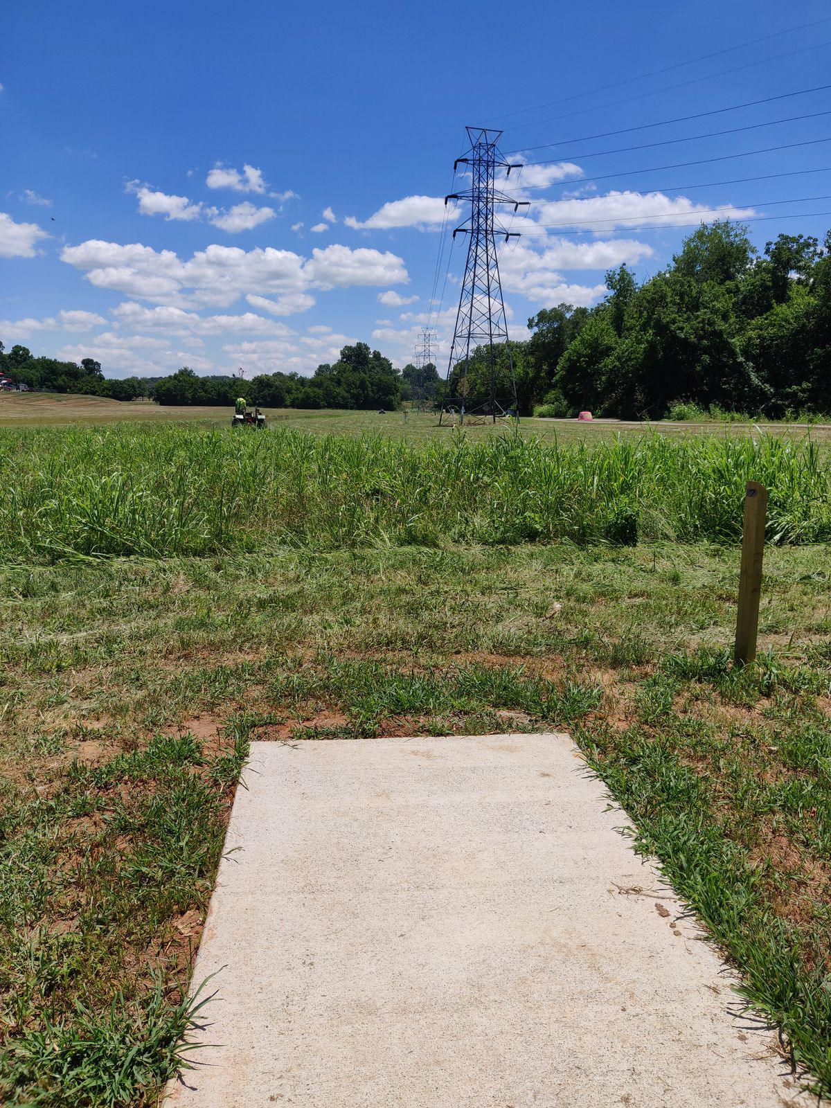 Hole 7. Looking at basket from the tee pad.