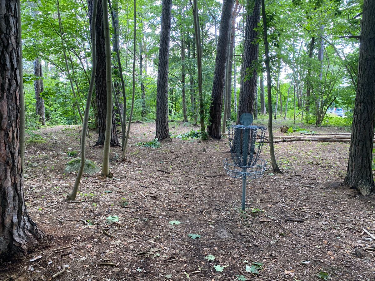 Hole #5