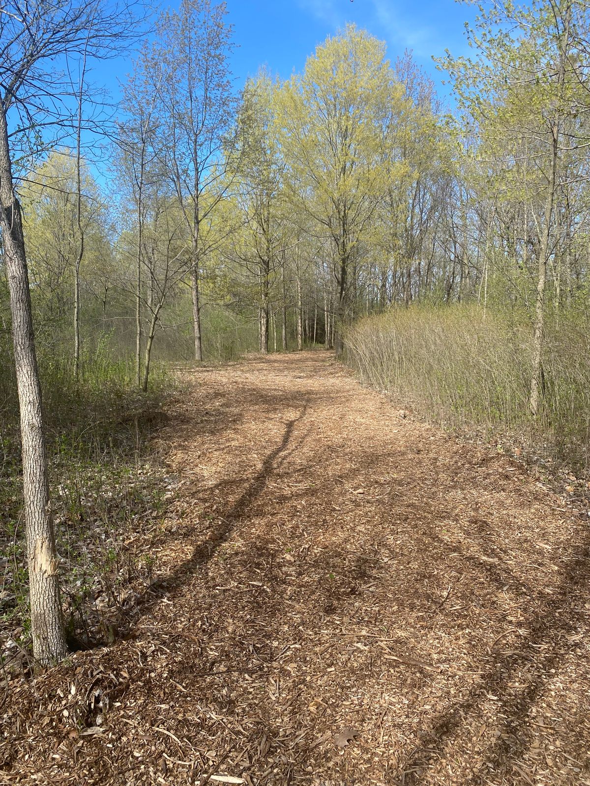 Hole 9 tee
