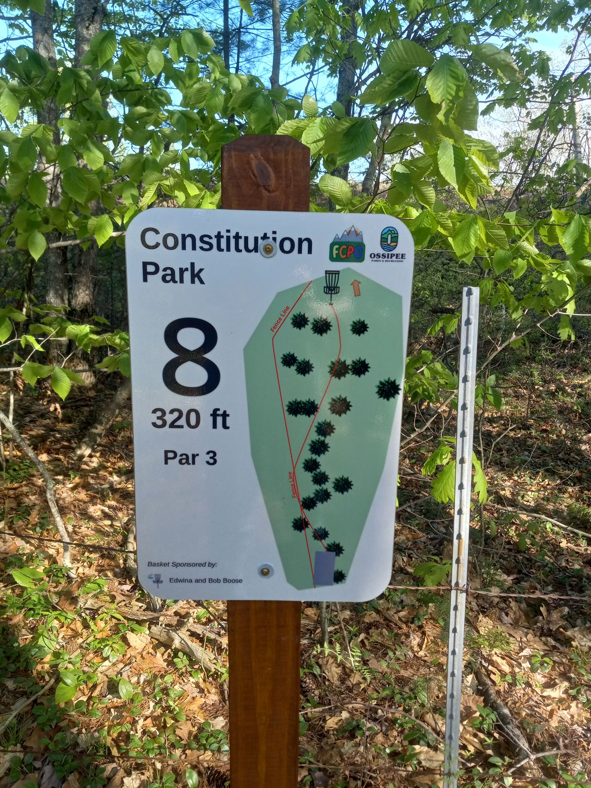 Hole 8