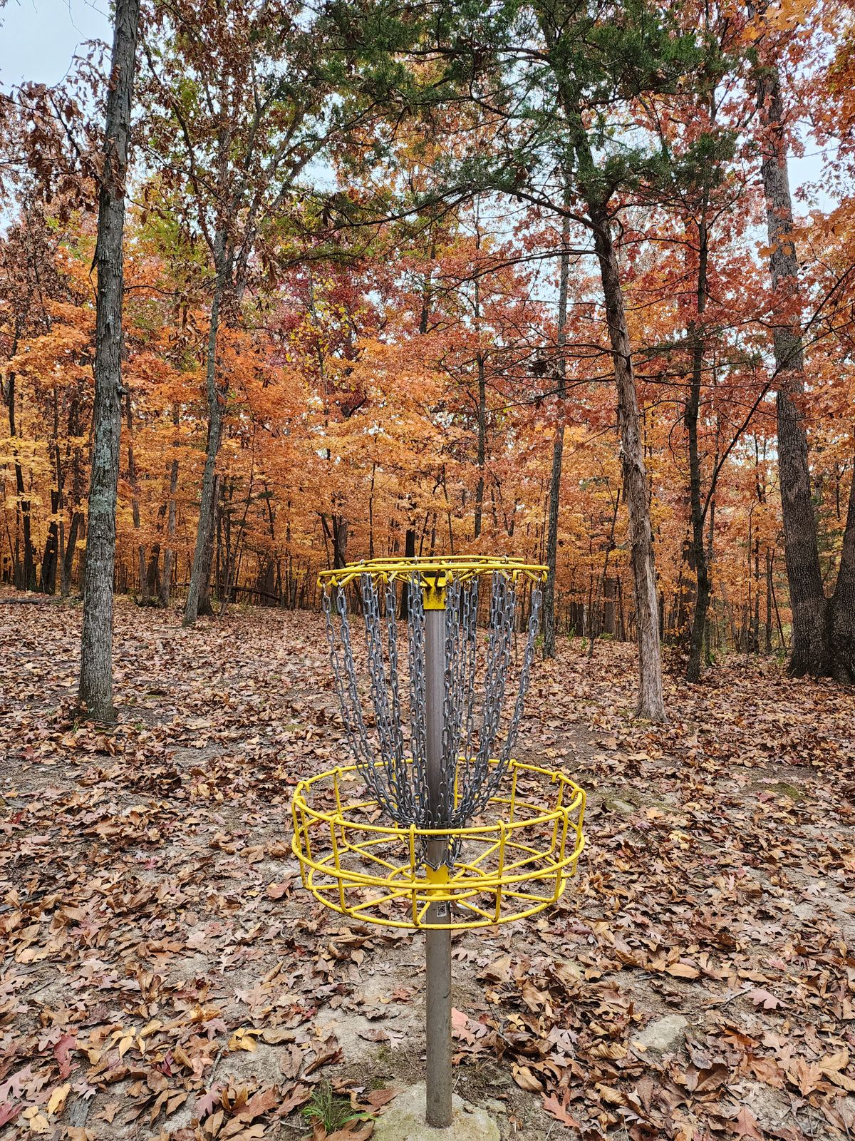 Holts Summit Greenway Park DGC