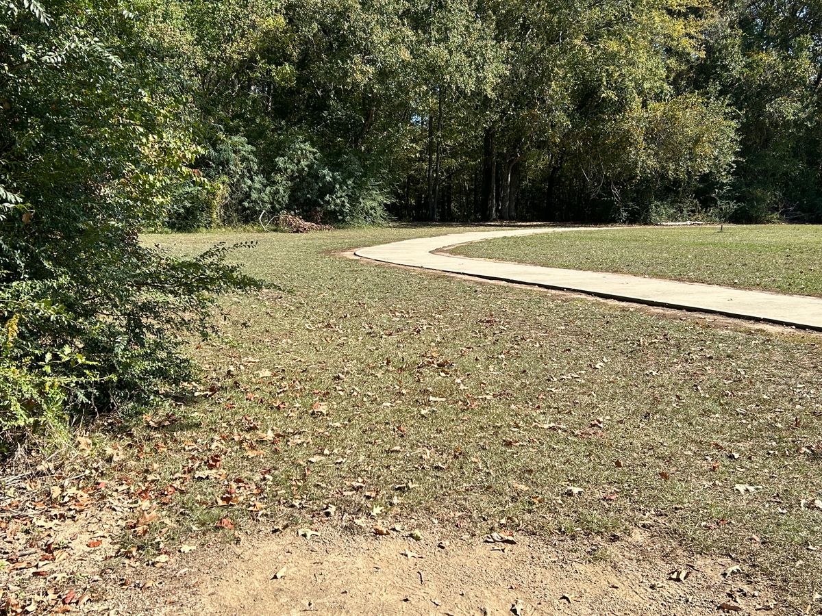 Hole 11 Fairway