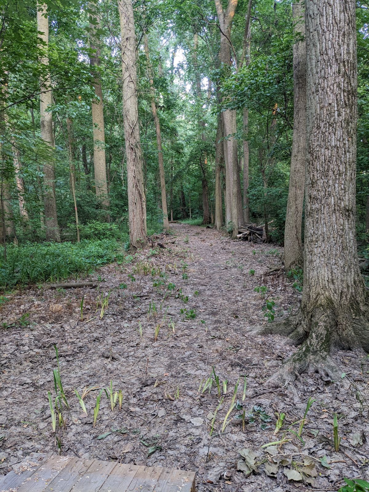 Hole 10 from the end of the bridge