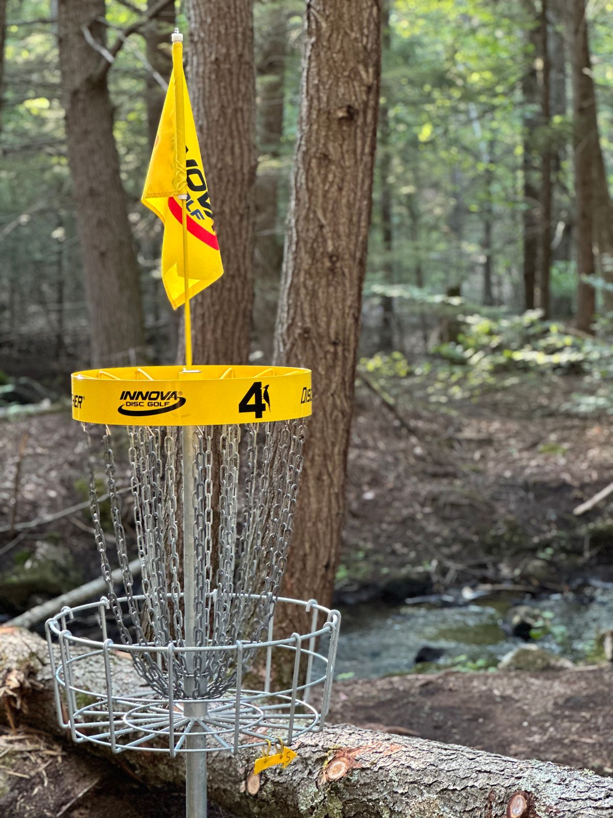 Hole 4 - Basket