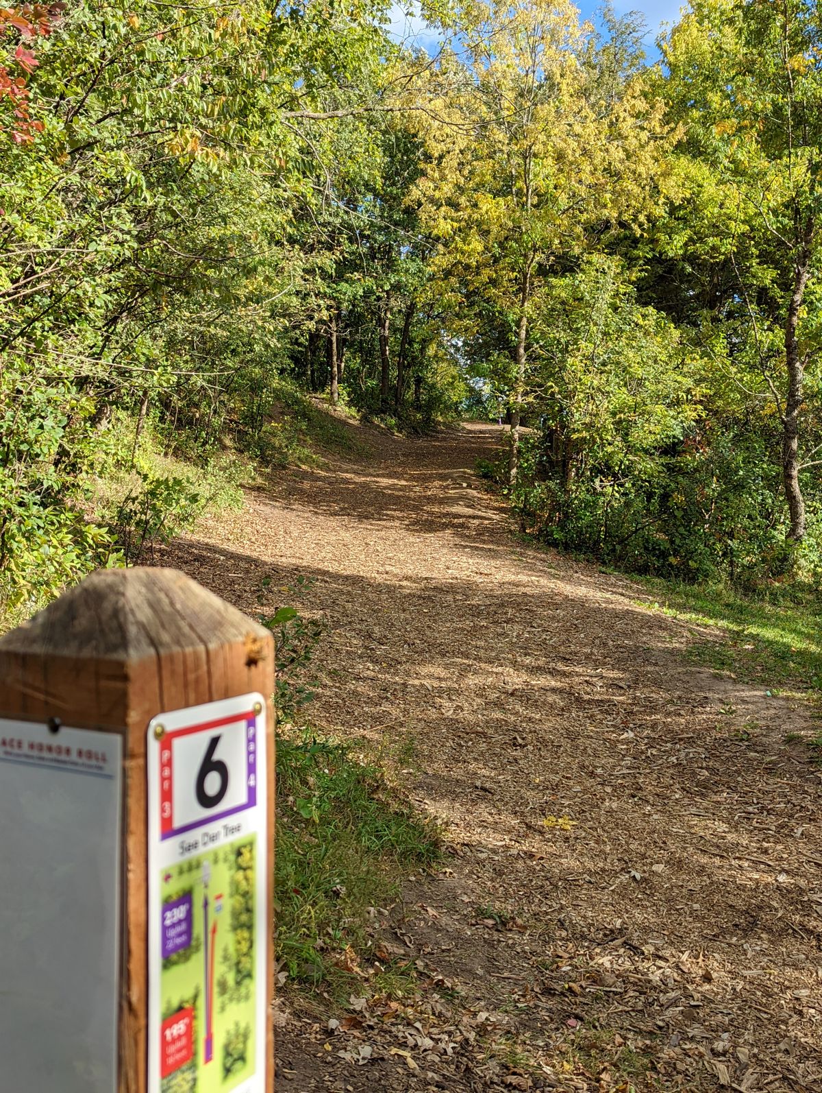 Hole 6 from red/purple tee pad. Narrow fairway on hillside.