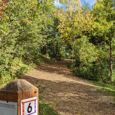 Hole 6 from red/purple tee pad. Narrow fairway on hillside.
