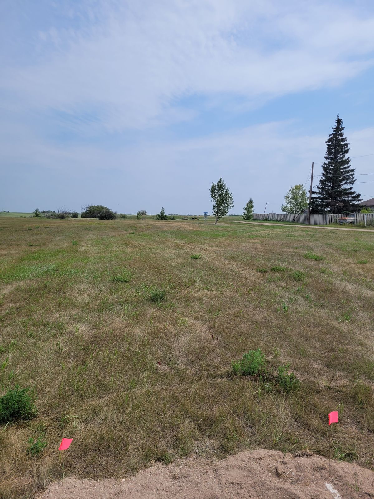 Tee #8 and Basket #8