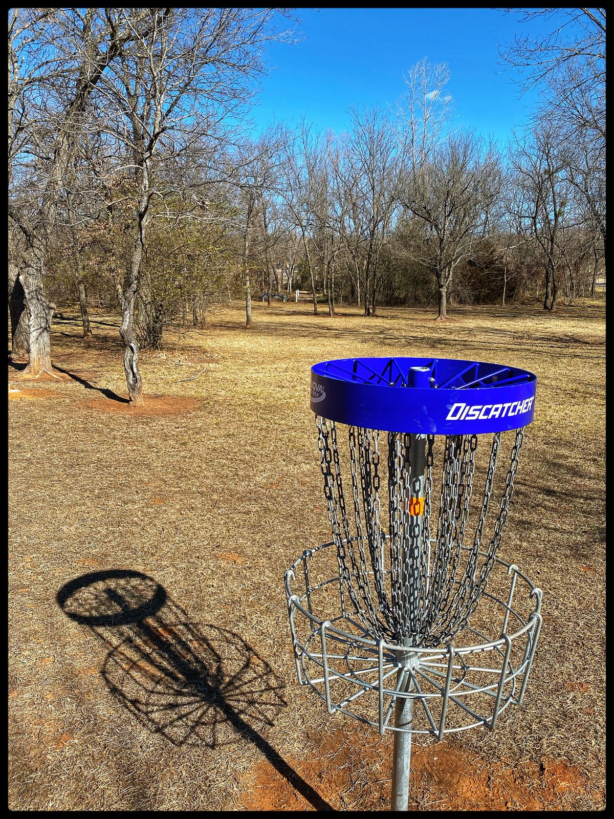 #8 green