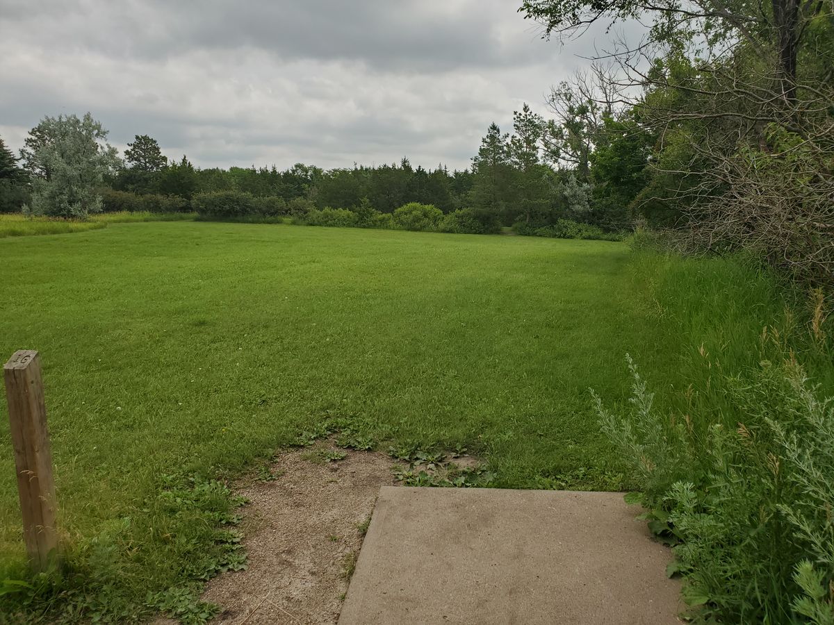 Hole 16. The basket is tucked on the left side of the tall tree at 12 o'clock.