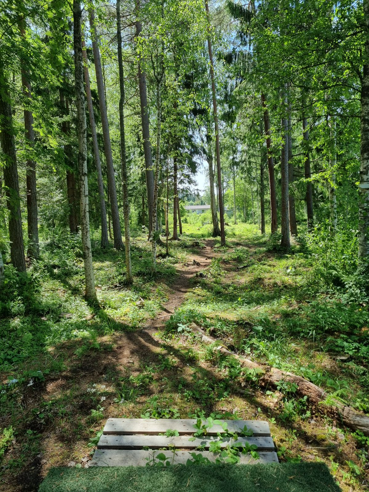 Hål 7 från tee