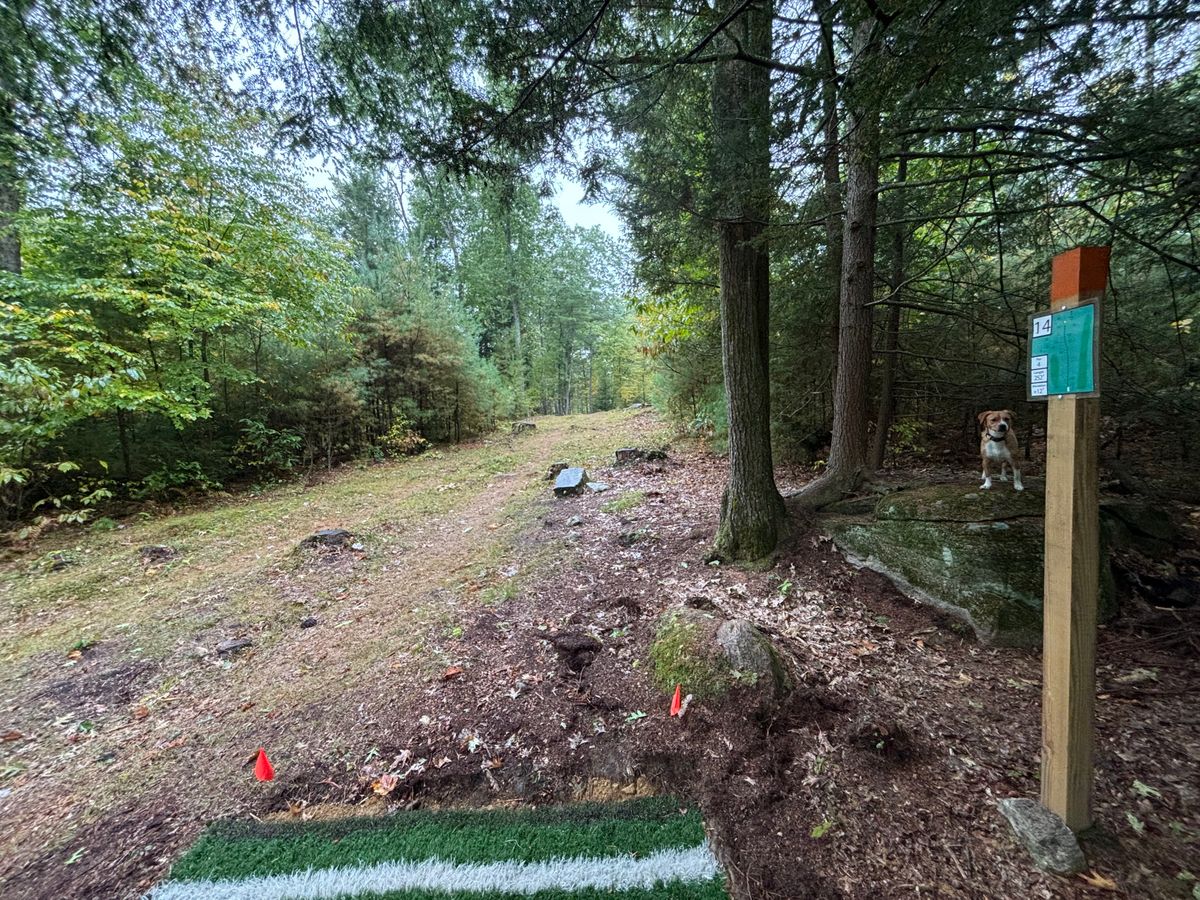 Hole 14 short