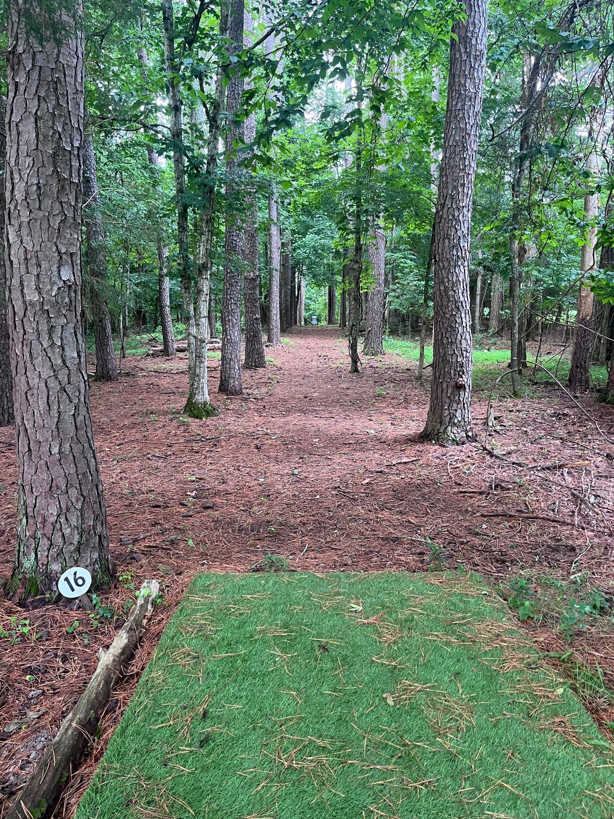 Iconic tunnel shot on 16