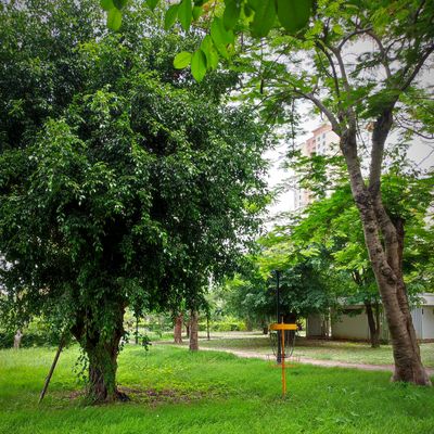 Hole 8 Green - Nine in the Park