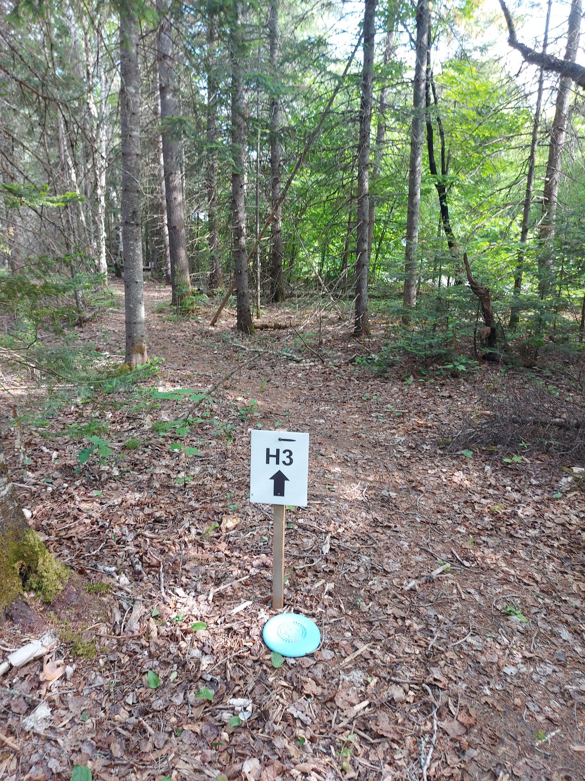 To hole 3 👍👍👍