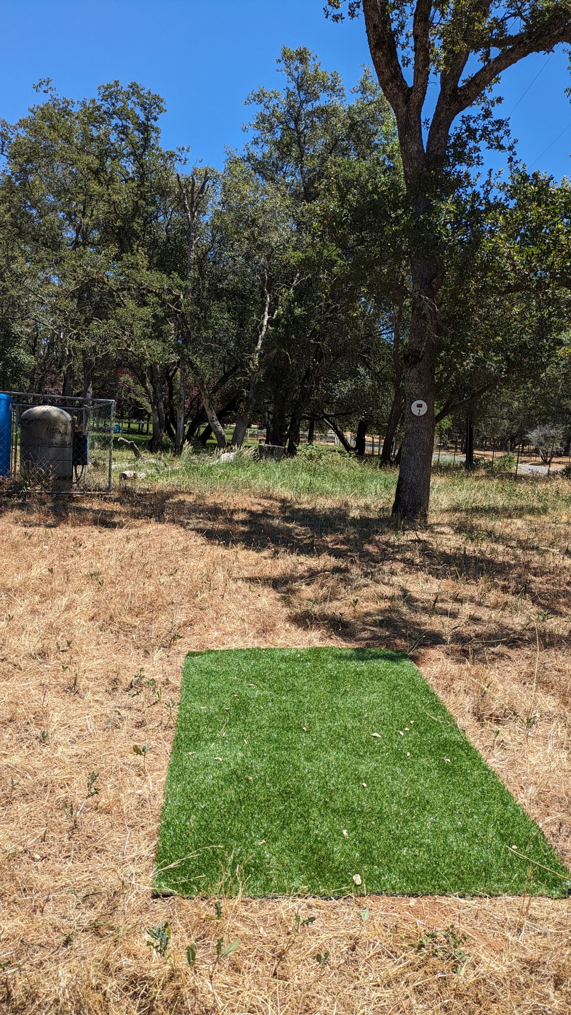 Hole 2 tee
