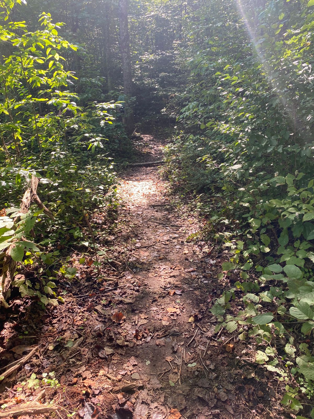 Entrance to Hole 4