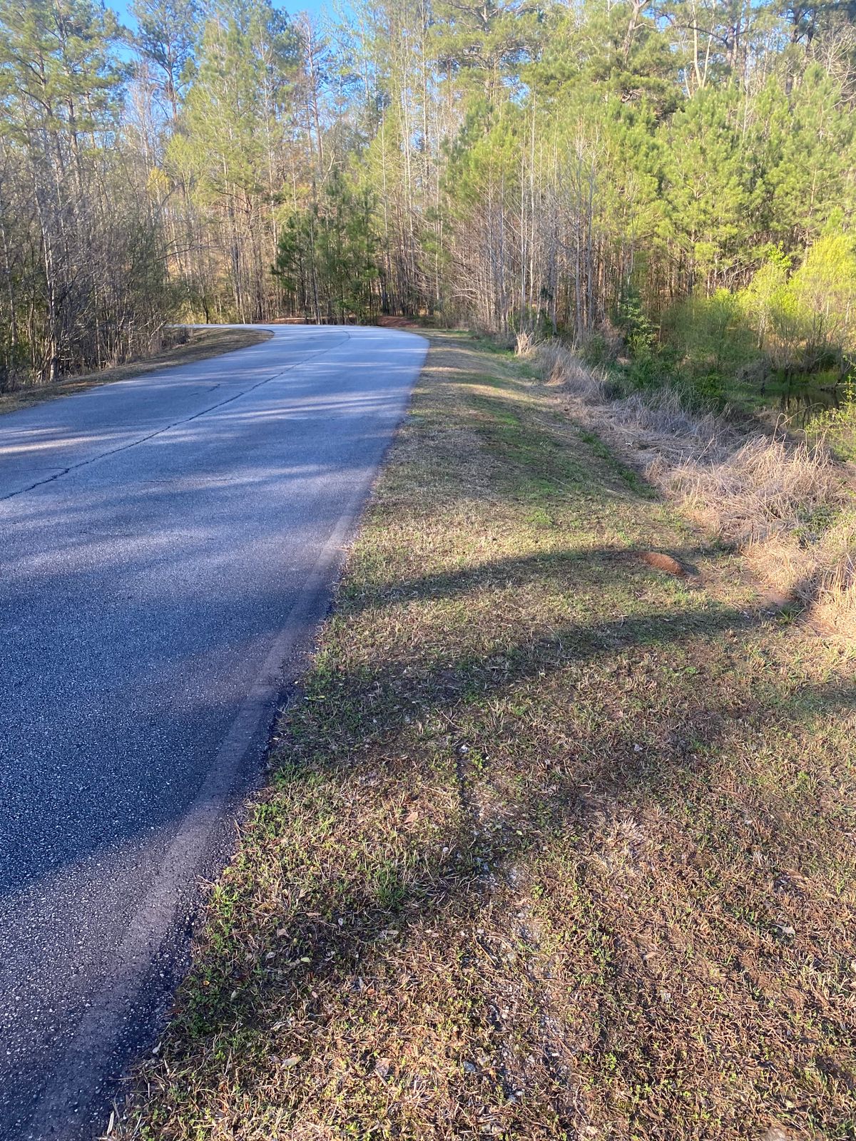 Path to 13