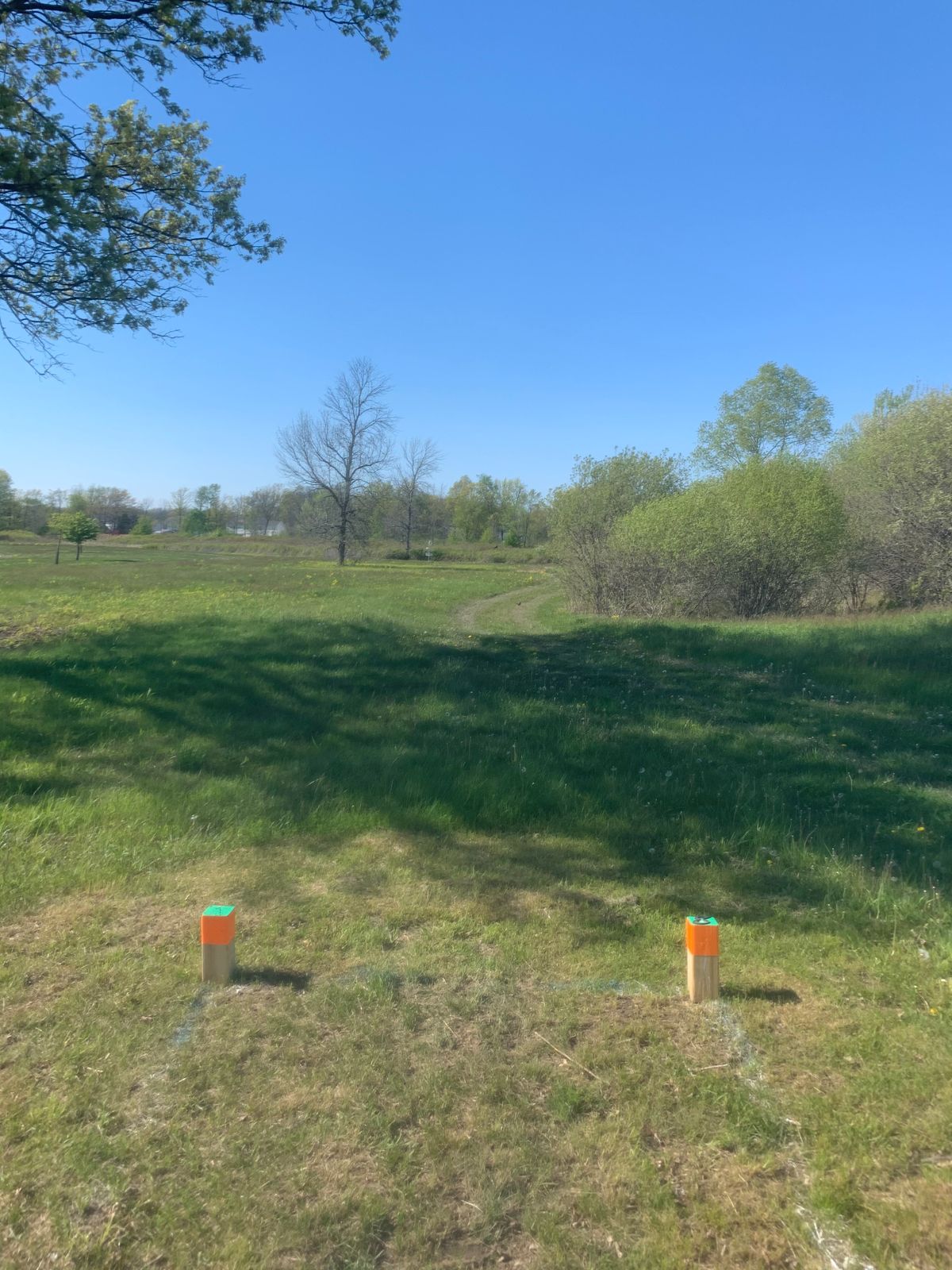 Hole 8 tee box
