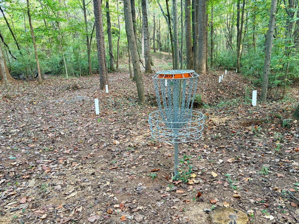 Hole 4 basket to tee
