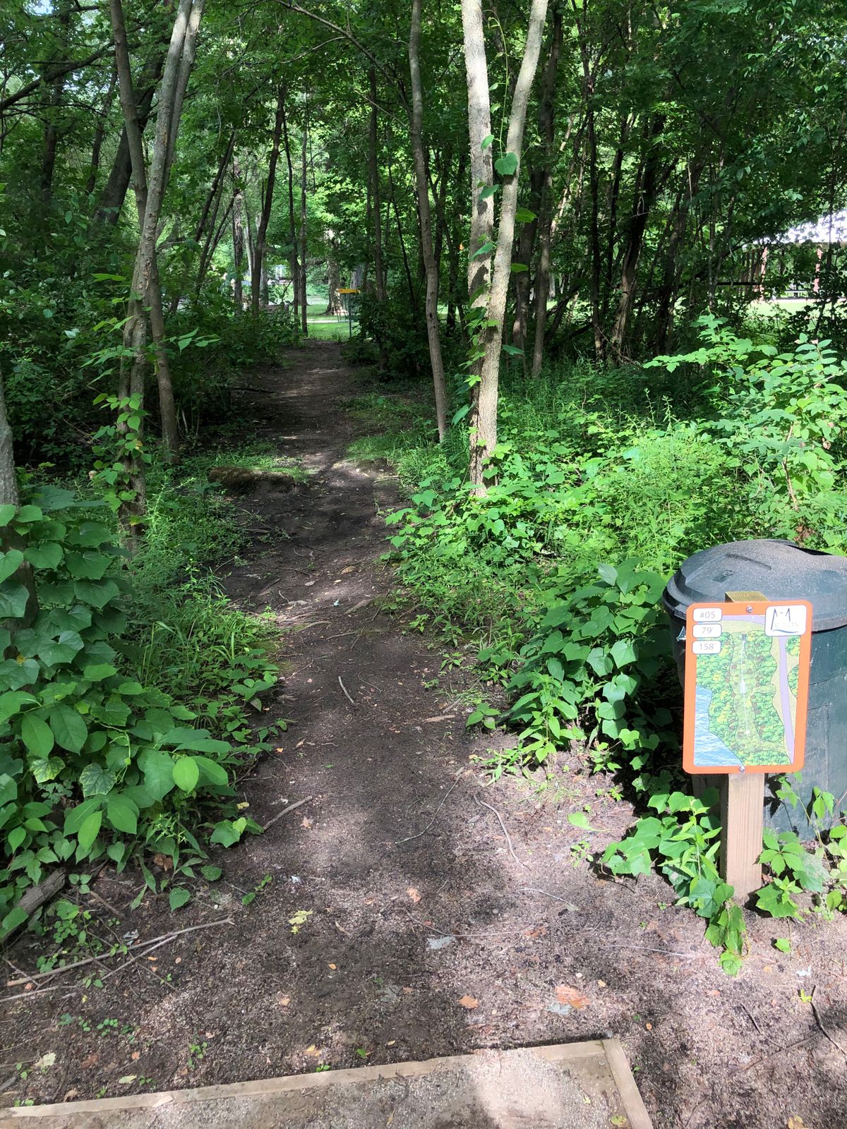 Hole 5 pad