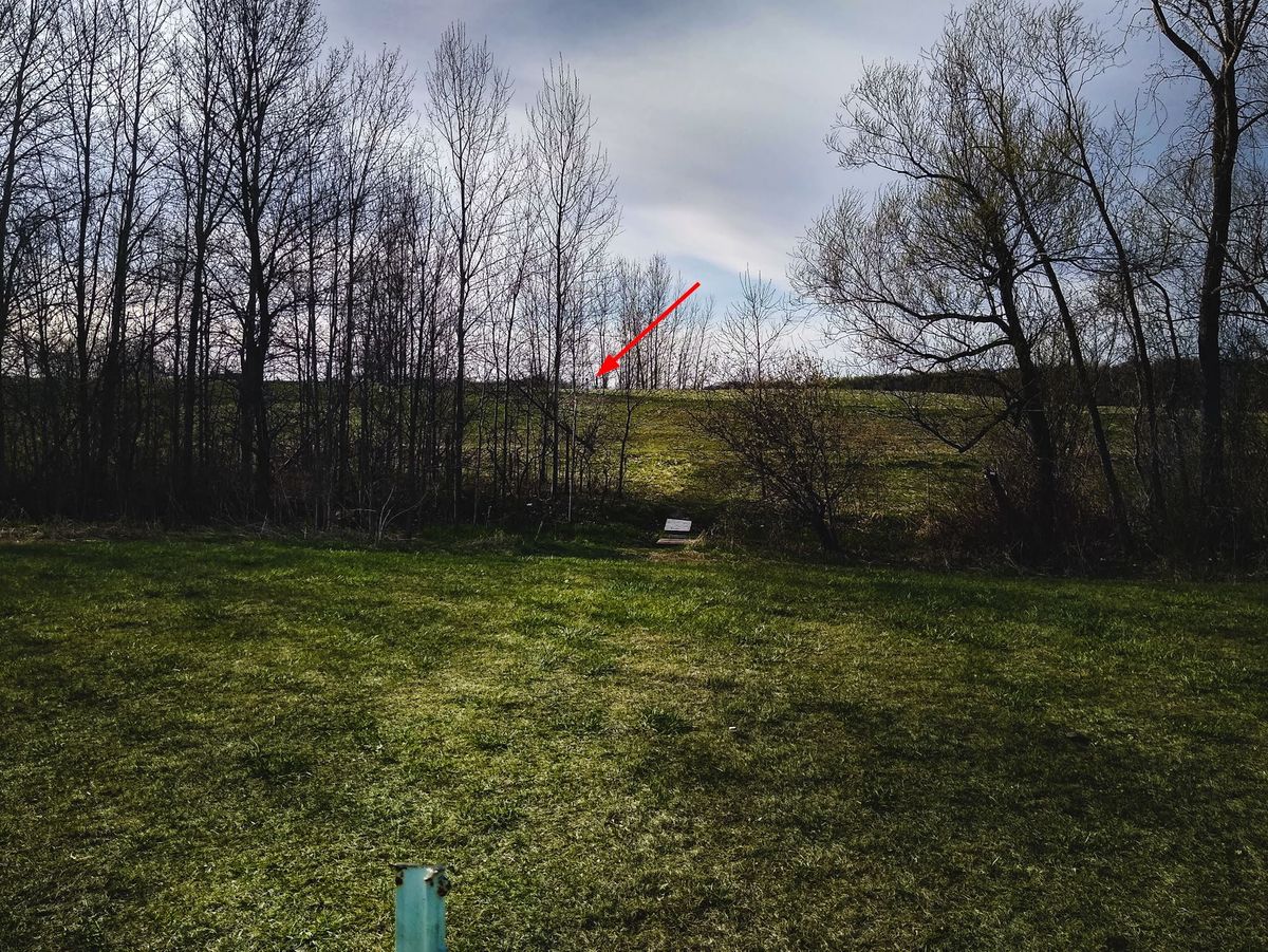 Hole #2 - though the tree gap; Creek at woodline