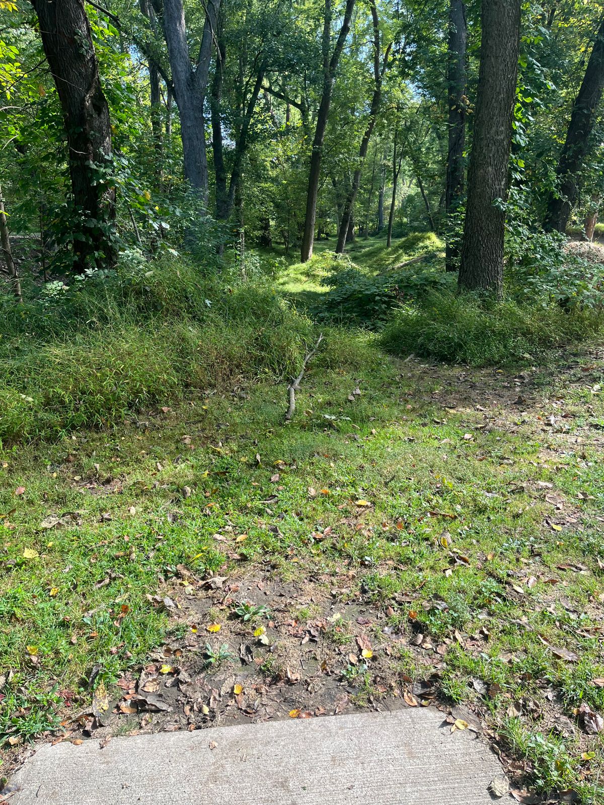Hole 4
