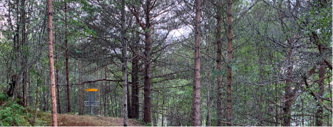 Sula Sportsklubb Torsdagsgolf - 2023 Golfen