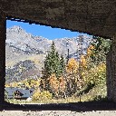 User avatar image