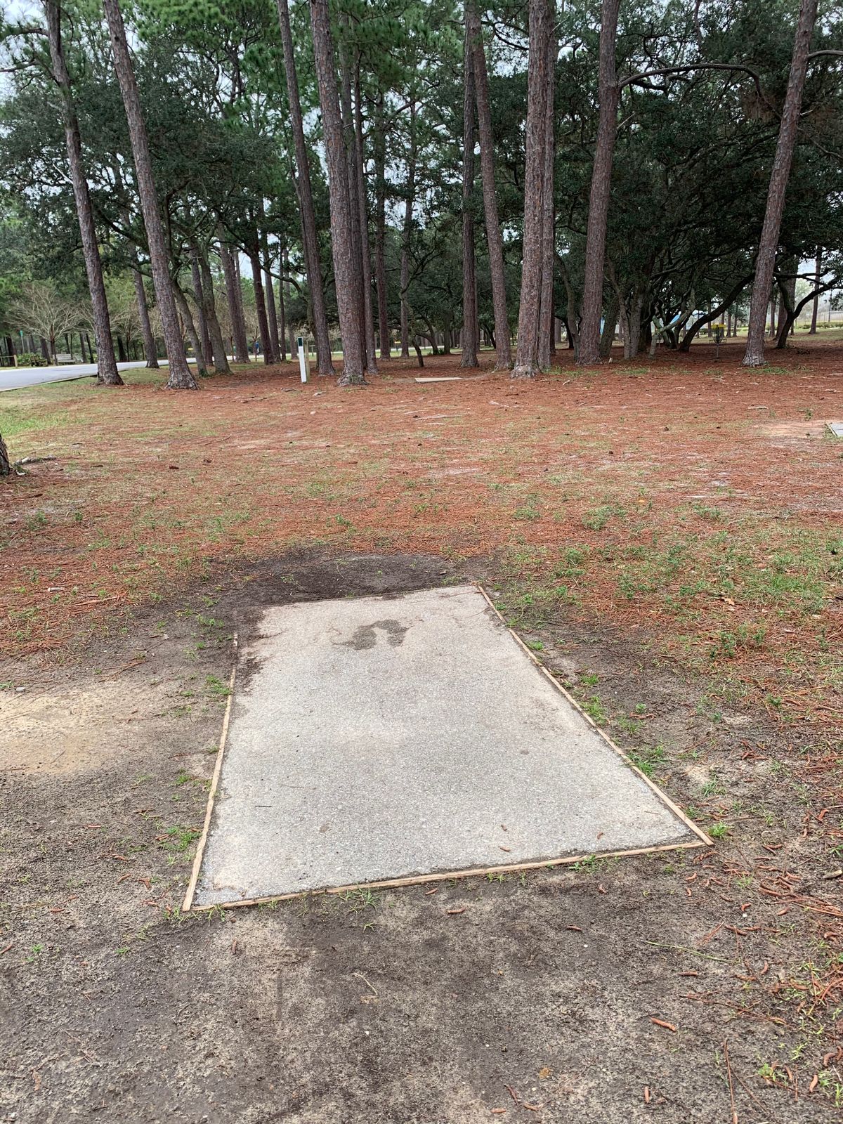 Hole 1 pro