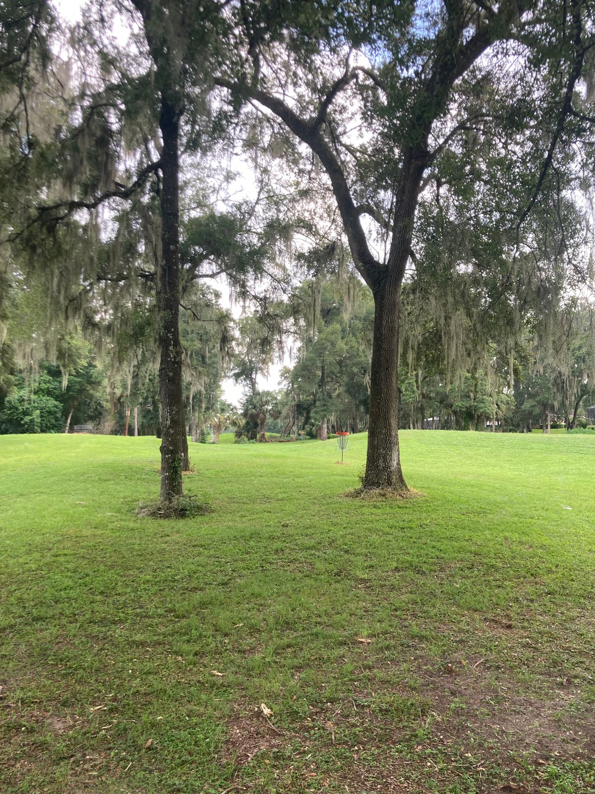 Hole 6 Basket