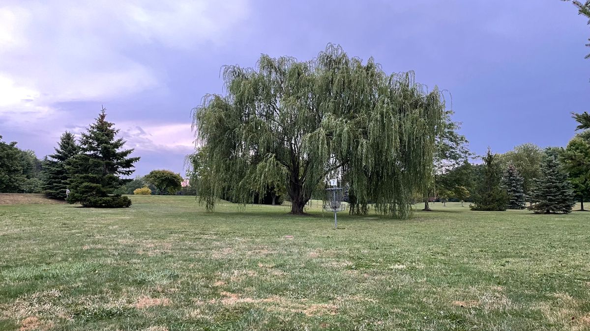 Hole 7